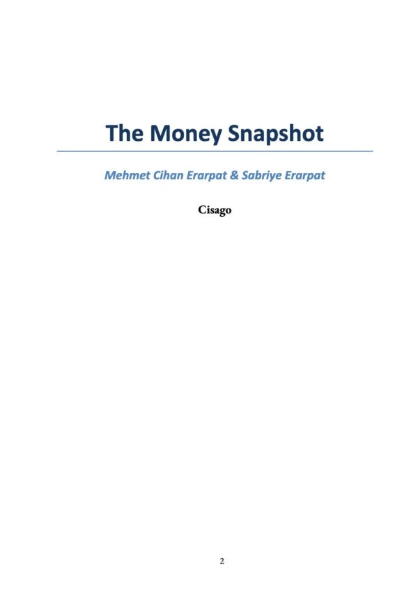 The Money Snapshot preview page 2