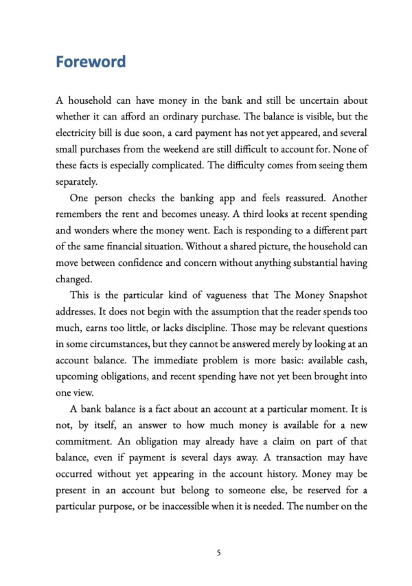 The Money Snapshot preview page 5